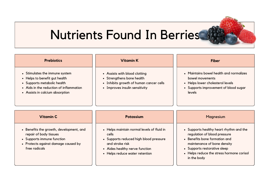 Nutrients found in berries, some that can benefit hormone balance