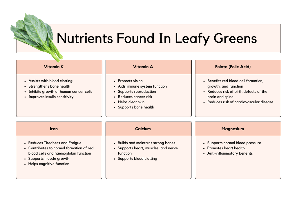 Nutrients found in the hormone balancing superfoods leafy greens