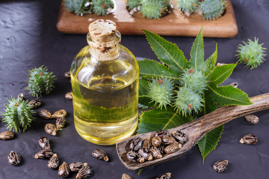 Bottle of Jamaican Black Castor Oil on a dark table with castor seeds in a spoon and castor plan